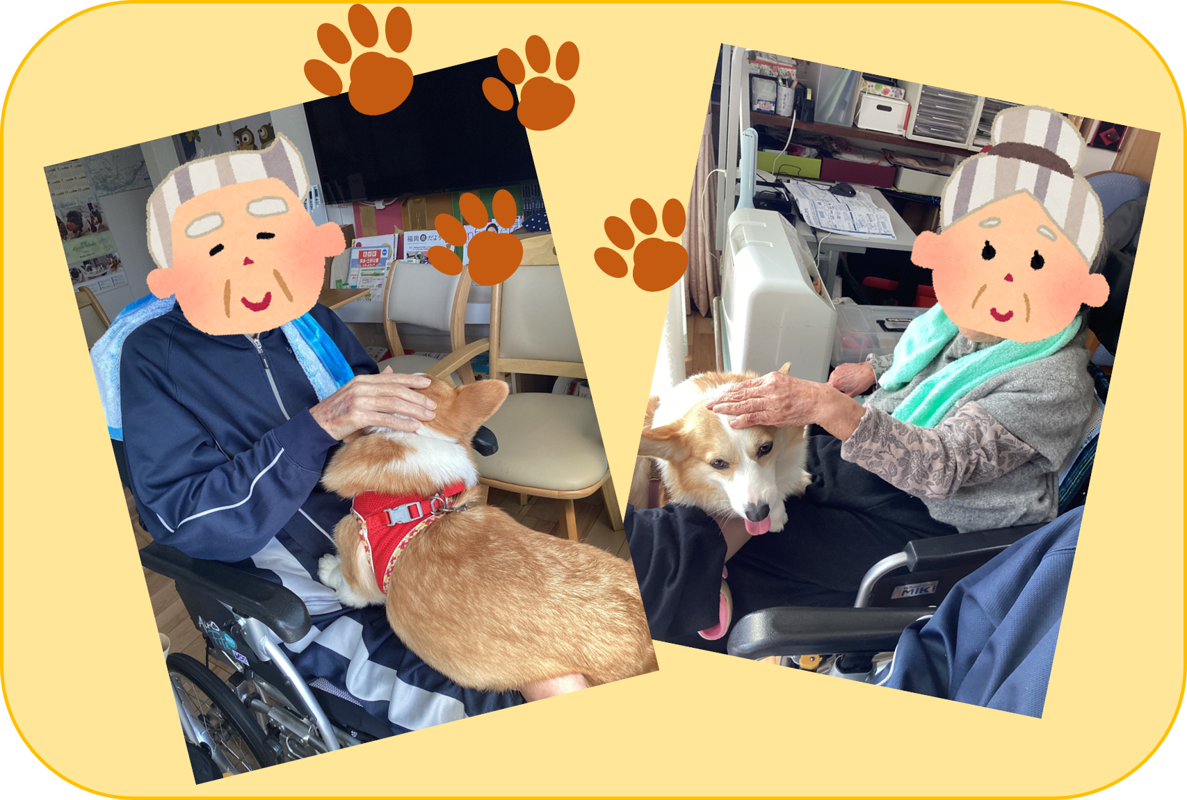 あいのさとにわんこがやってきた